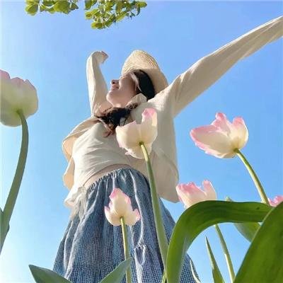 中锋在黎明前死去