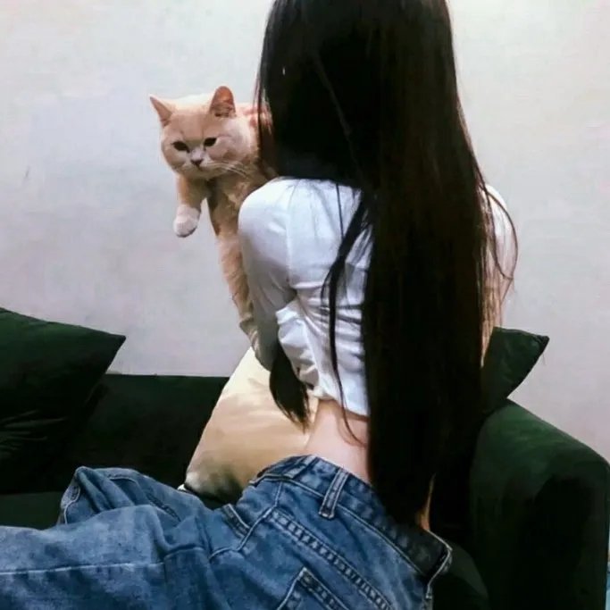 赌注